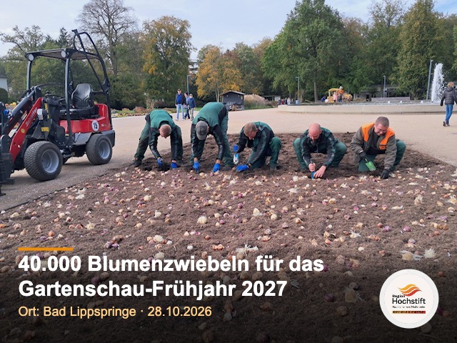 Gärtner pflanzen Blumenzwiebeln in der Gartenschau Bad Lippspringe