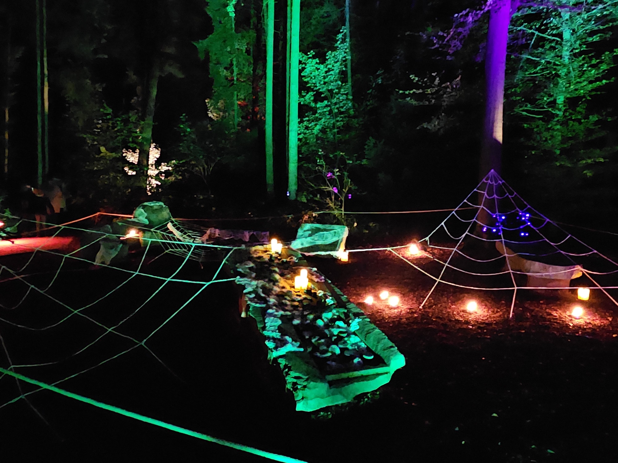 Beleuchtete Spinnennetze und Gräber im nächtlichen Park