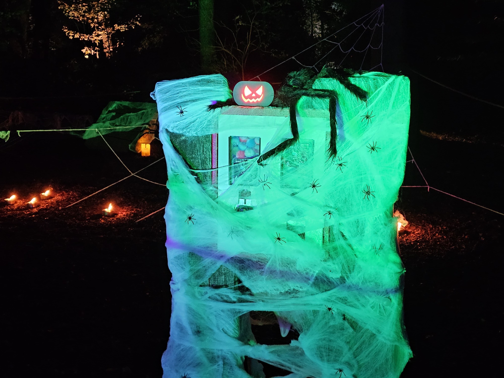 Mit Spinnennetz umwickelte Kiste mit Spinne und Kürbis